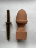 Schlauchpoller Eichel